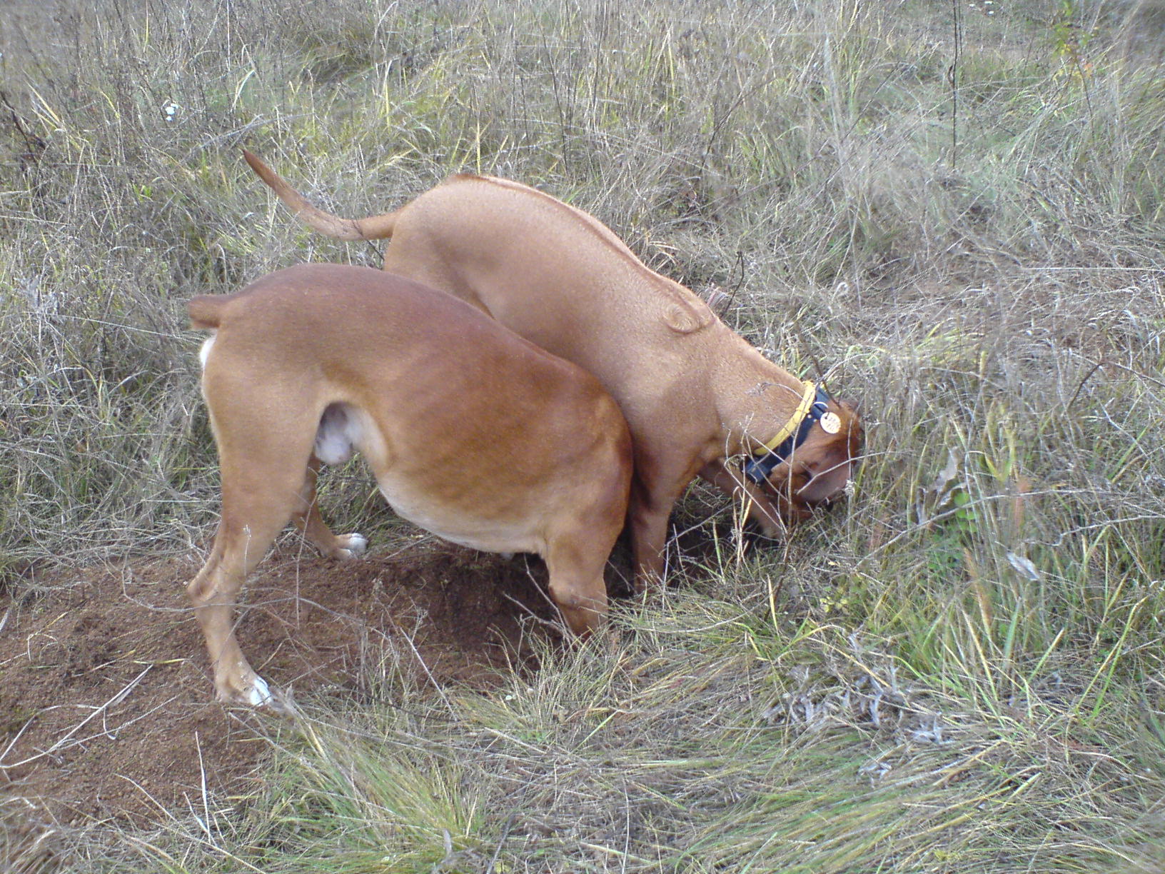 DSC00016.JPG