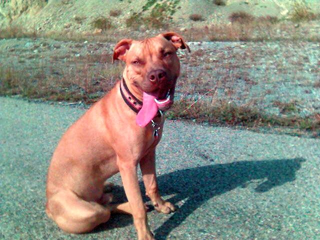 060930_144100.jpg