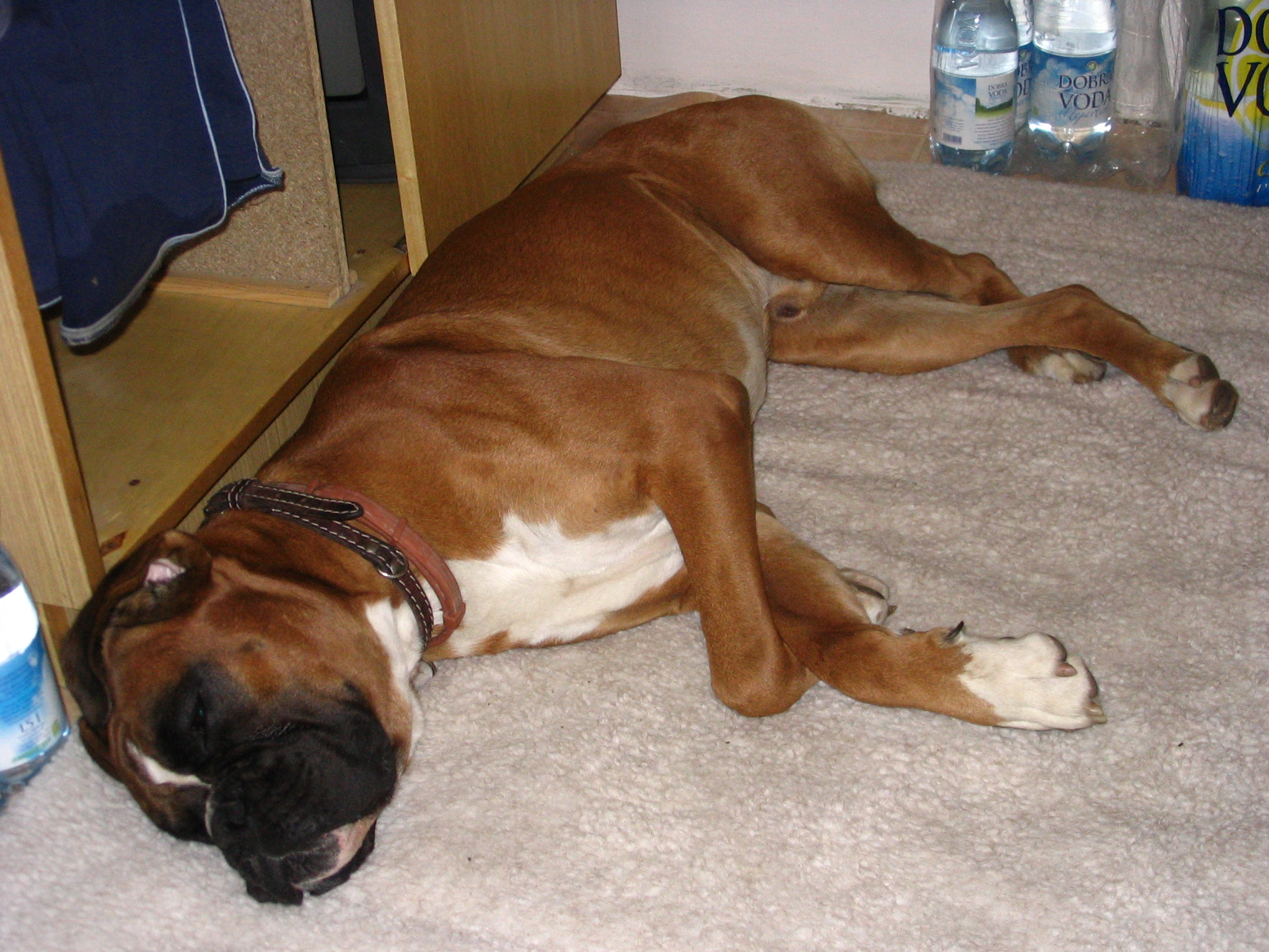 10-07-2006 053.jpg