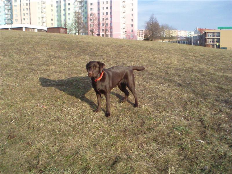 foto7m08_big.jpg