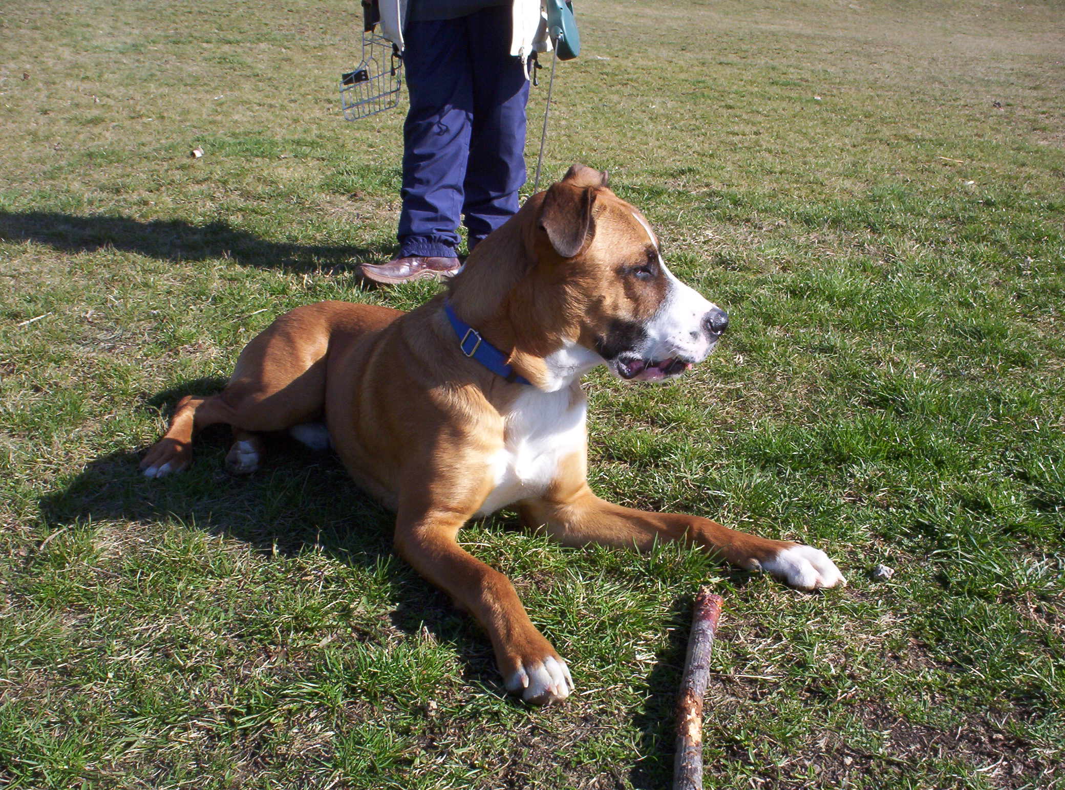 100_2865.JPG